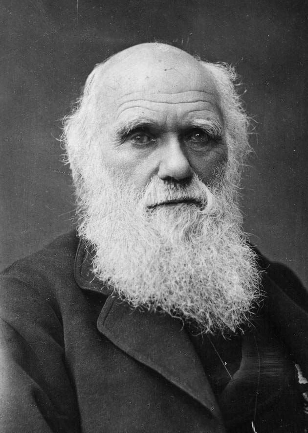 Photographie en noir et blanc d'un vieil homme chauve à très longue barbe blanche, en redingote sombre