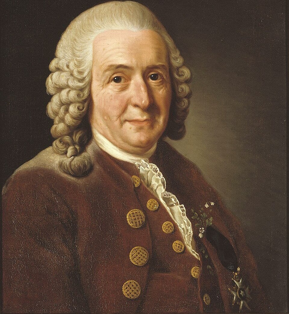 Portrait d'un vieil homme souriant à perruque blanche bouclée, en habit brun à gros boutons dorés, une petite fleur à la boutonnière